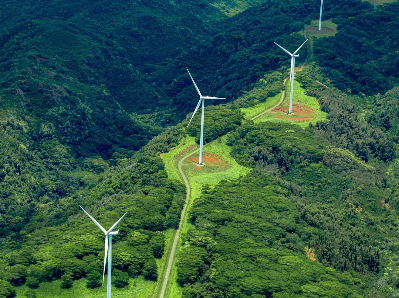 Tvarumo įsipareigojimas